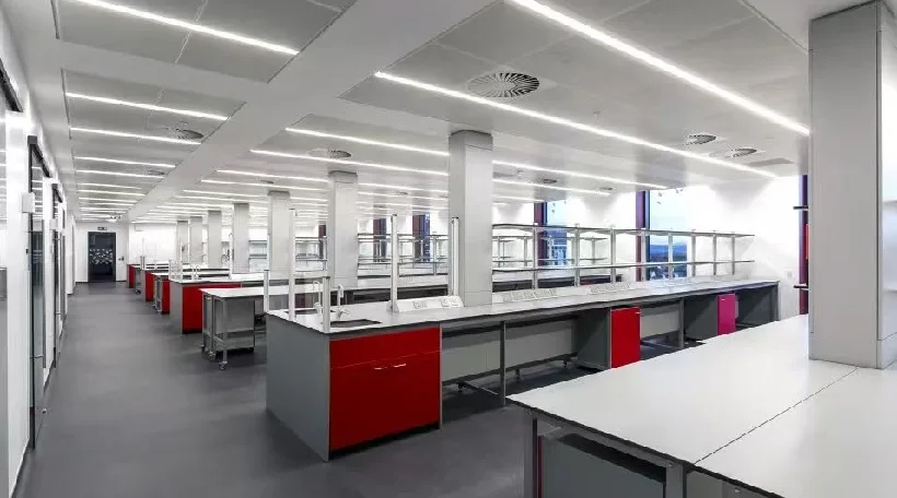 微信图片_2025-09-10_202007_806 (3)